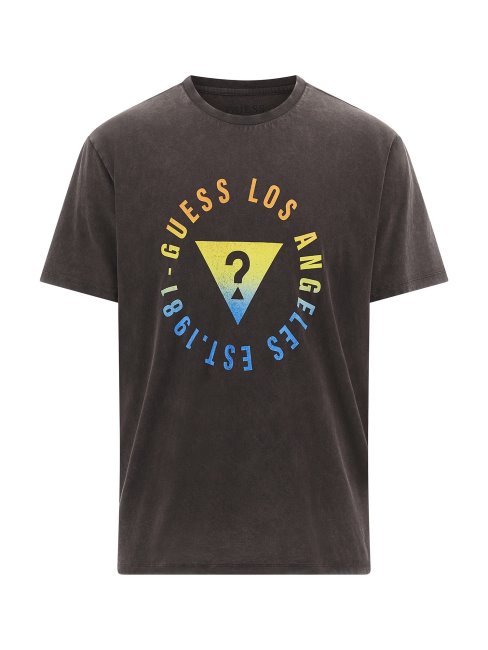 Tee Shirt Logo Devant Guess Noir Multi