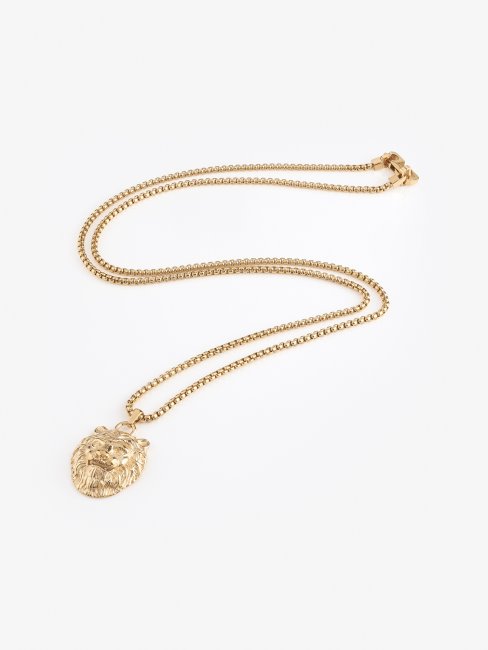 Devinez Le Lion D'or Multi