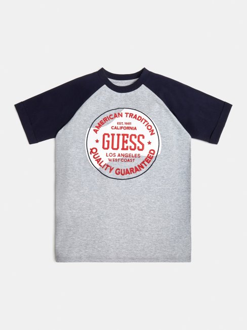 T-shirt Logo Devant Guess Gris Multi
