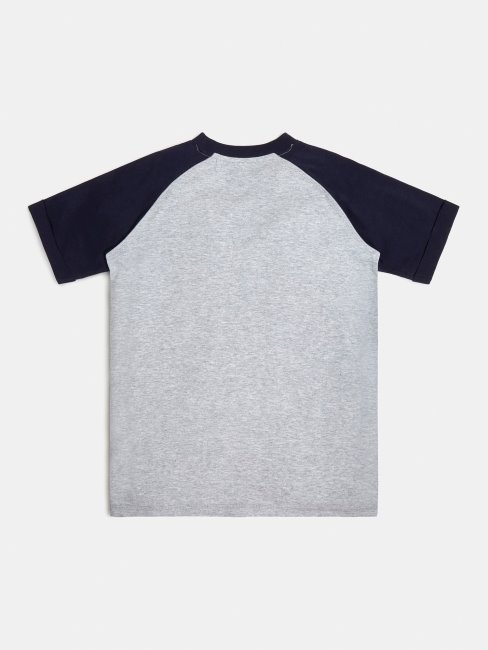 T-shirt Logo Devant Guess Gris Multi