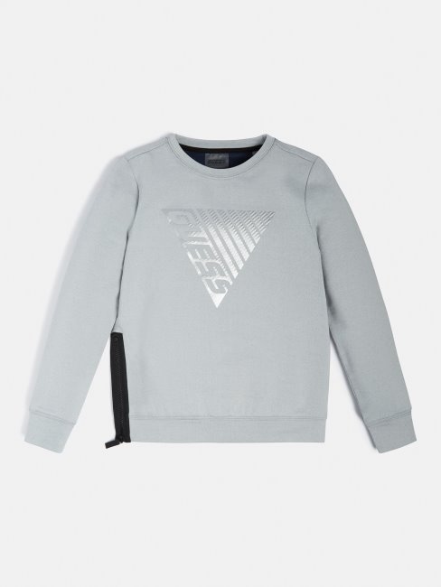 Sweat Logo Devant Gris Multi Guess