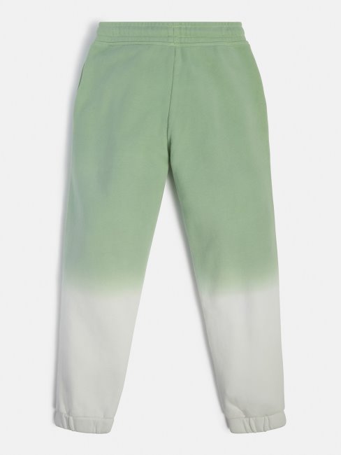 Guess Side Logo Active Pantalon Vert Multi
