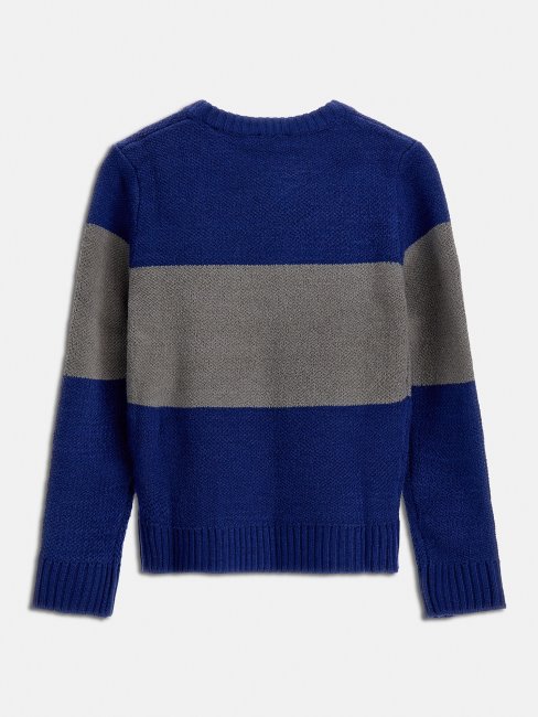 Pull à Logo Devant Guess Bleu