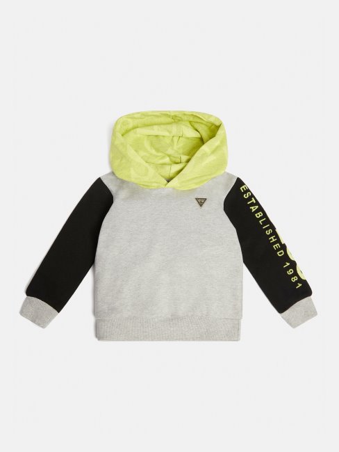 Sweat à Capuche Gris Multi Guess