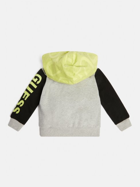 Sweat à Capuche Gris Multi Guess