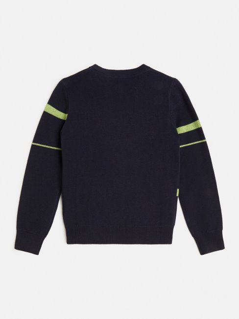 Pull Rayé Bleu Guess