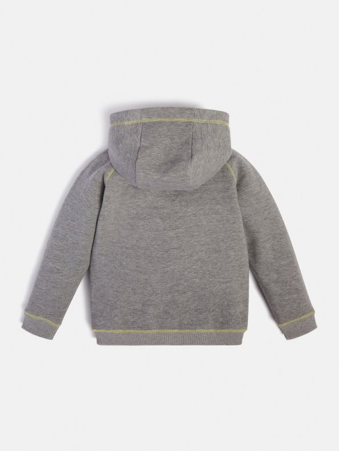 Sweat à Capuche Gris Guess