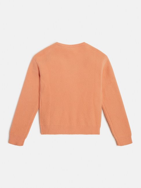 Tirez Le Logo Devant L'orange Devinez