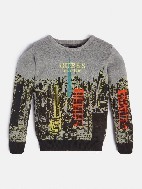 Pull Imprimé All Over Gris Multi Guess