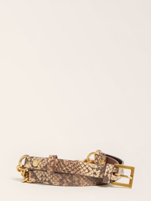 Guess Marciano Ceinture Imprimée Phyton Orange