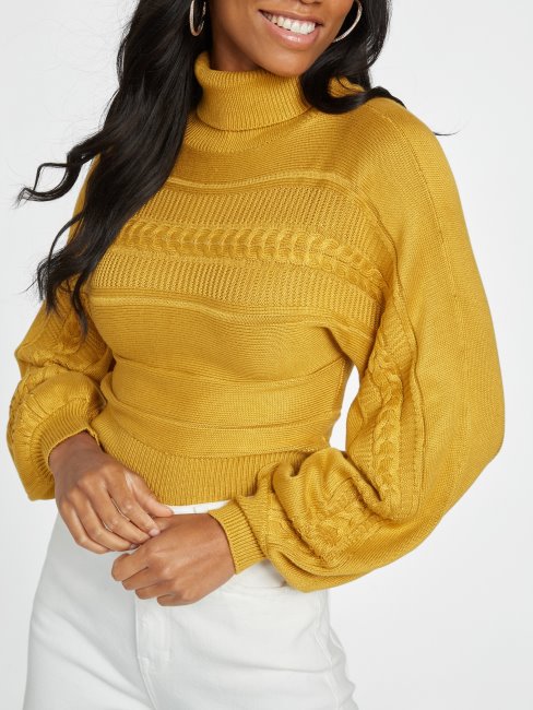 Sun Shadow Pull à Col Roulé Tressé Zayla Guess