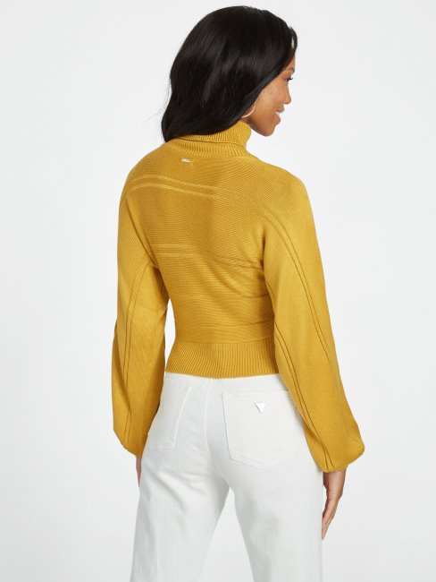 Sun Shadow Pull à Col Roulé Tressé Zayla Guess