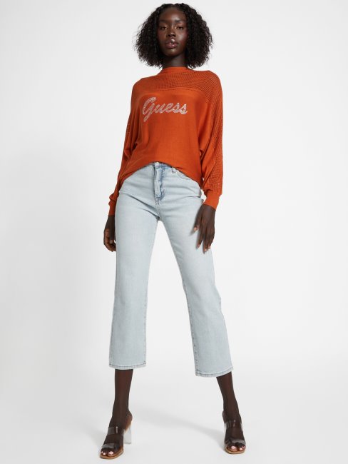 Dalina Pull Logo Gingembre épice Deviner