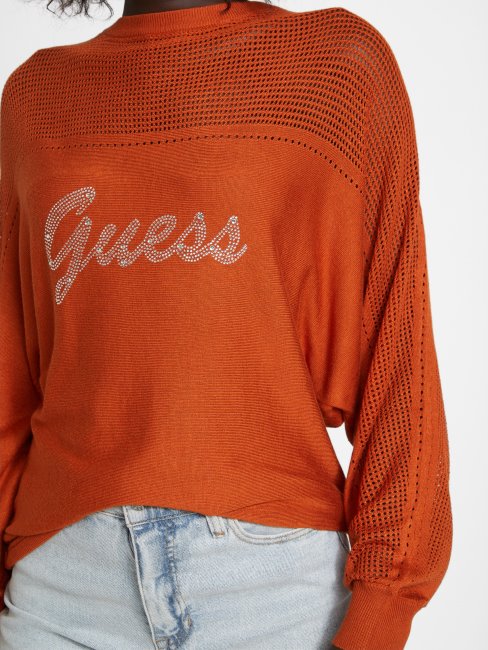 Dalina Pull Logo Gingembre épice Deviner