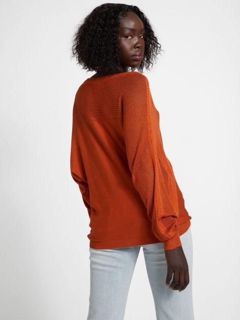 Dalina Pull Logo Gingembre épice Deviner