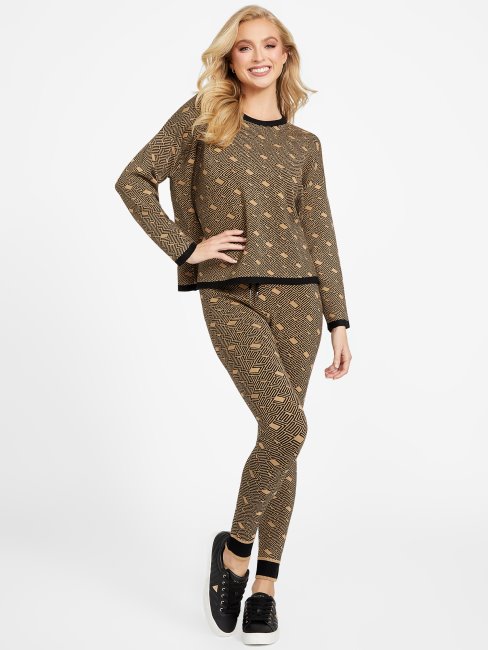 Chandail Eco Boxy Cachet Guess Taupe Grillé Multi