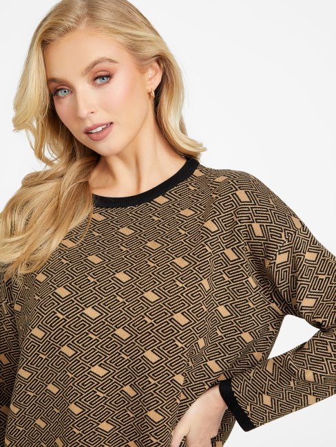 Chandail Eco Boxy Cachet Guess Taupe Grillé Multi