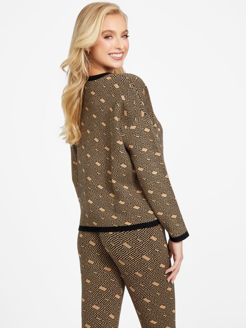 Chandail Eco Boxy Cachet Guess Taupe Grillé Multi