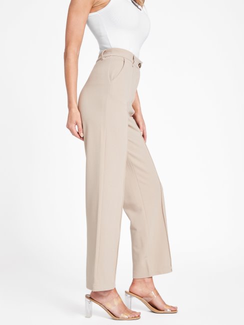 Pantalon Guess Pascual Velours Taupe