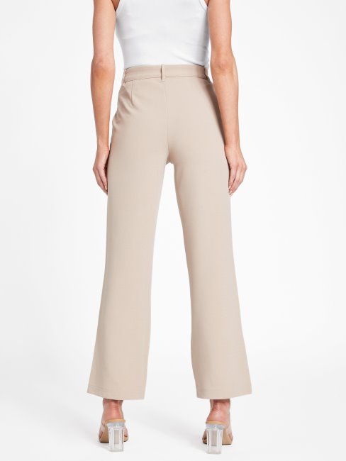 Pantalon Guess Pascual Velours Taupe