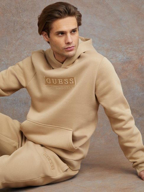 Guess G118 Eco Logo Harvey Sweat à Capuche
