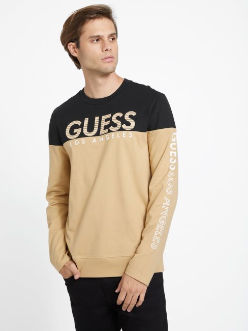 T-shirt à Manches Longues à Blocs De Couleurs Guess Eco Zioin Taupe Grillé