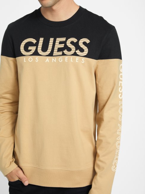 T-shirt à Manches Longues à Blocs De Couleurs Guess Eco Zioin Taupe Grillé