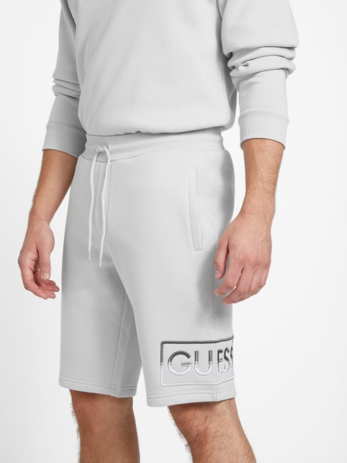 Short En Maille Guess Hartley Gris Pâle