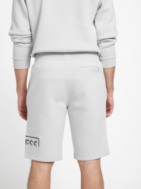 Short En Maille Guess Hartley Gris Pâle