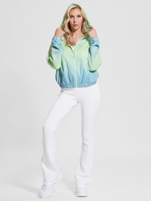 Coupe-vent Clématite Bleu Et Vert Ombré 4g