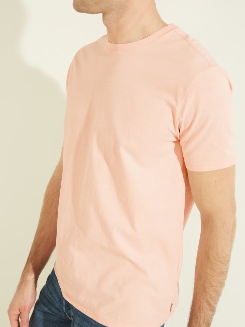 Tee Shirt Délavé Multi Eli Sable Pâle Guess