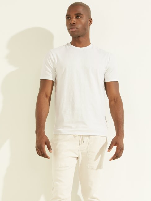 Tee Shirt Eli Délavé Bleu Polaire Multi Guess