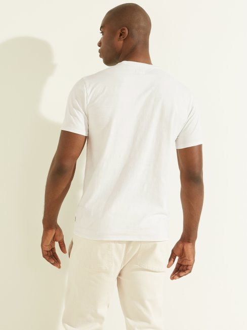 Tee Shirt Eli Délavé Bleu Polaire Multi Guess