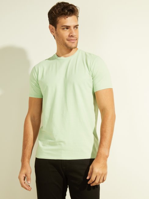 T-shirt Délavé Vert Brumeux Multi Eli Guess