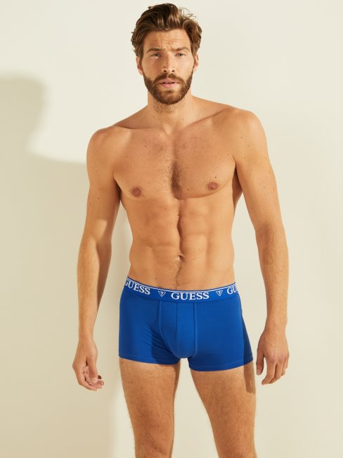 Boxer Caleçon Bleu Sauvage Bande Logo Guess