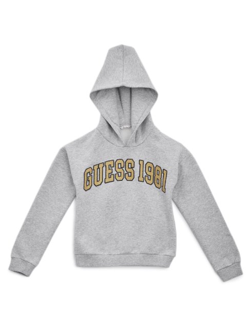 Guess Sweat à Capuche Actif Avec Logo Pierre Chiné Clair (7-14)